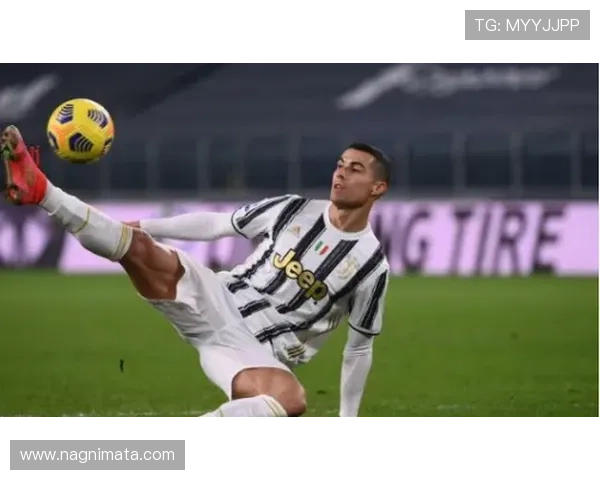 华体会平台网国米赞助商合作案例分享及成功经验总结